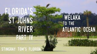 Florida's St. Johns River IV – Welaka to the Atlantic Ocean: A Take 5 For Florida History 26