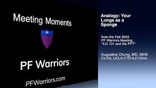 Analogy: Your Lungs as a Sponge, a Meeting Moment from PF Warriors.