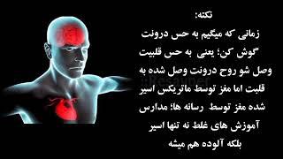 خود/کشی کنی دفعه بعد معلول به دنیا میای!