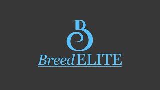 Wicked Simple Sheep Auto Drafter | BreedELITE Sheep System | Wayne Lehmann