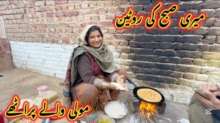 My morning routine in the village | village life Pakistan