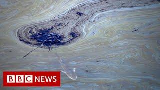 California oil spill sparks concern for US wildlife - BBC News