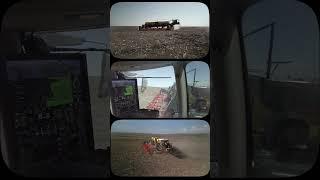 Nexat and Vaderstad: Superior Sunflower Sowing Technology 