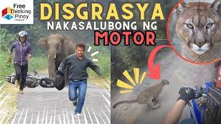 Malupet!! 22 Engkwentro ng Motorista at Hayop  Wild Animals Encounter Motor bike