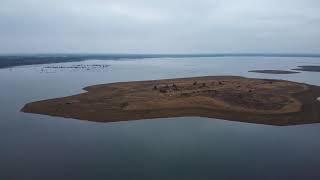 Cottbuser Ostsee am Haff12.12.24