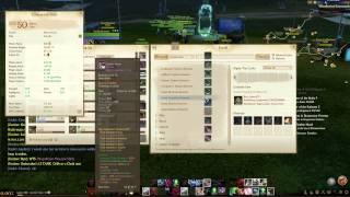 ArcheAge level 50 Gearing, Crafting Gear, Regrading, Tempering and Socket Guide / Explained