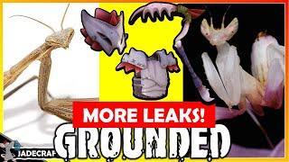 GROUNDED NEW LEAKS! Multiple Mantis? Blossom And Brown! Armor And Pollen Attacks! Plus More Secrets!