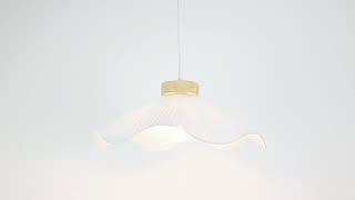 Lexi Lighting Seraphina Pendant Light