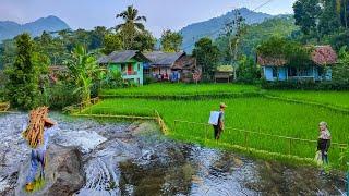 Lestari Alamku, Lestari Desaku... Udara Sejuk Pemandangan Indah Alam Pedesaan