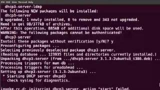 Setting Up and Configuring a DHCP Server in Ubuntu 10.10 Maverick Meerkat - Part 1