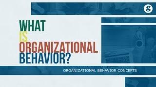 What is Organizational Behavior?