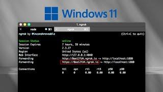 Install Ngrok Tunnel on Windows Os 8,10,11, Fix all Bugs, Ngrok Error Fix