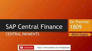 SAP Central Finance Central Payments