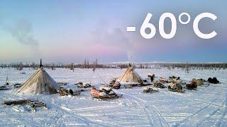 Nomad family with mother survive in Far North in Russia. Life in Russia today. Russian Tundra.