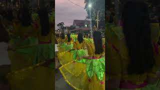 My Daughter’s Parade For Mass Demo #asmr #shorts #parade #beautiful #best #costume #massdemo #lover