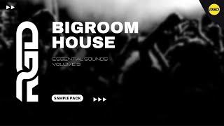 Bigroom Sample Pack - Essentials V9 (Festival EDM) | Samples & Vocals