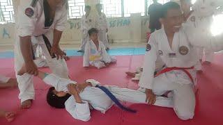 Taekwondo Training Split