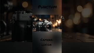 What is punctum? camera lucida Roland Barthes