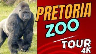 Pretoria Zoo Animals Tour 4k| South Africa