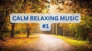 Beautiful Relaxing Music - Stop Overthinking, Stress Relief Music, Sleep Music, Calming #music