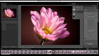 How to Optimize Adobe Lightroom Classic