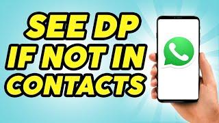 How to See Whatsapp DP if Not in Contacts - 2024