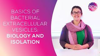 Basics of Bacterial Extracellular Vesicles: Biology and Isolation