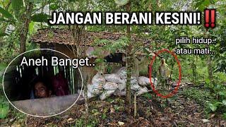 PENAMPAKAN SOSOK MISTERIUS!! 10 TAHUN TINGGAL SENDIRI TERSEMBUNYI DI DALAM HUTAN