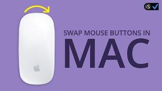 Change Mouse Settings For Left Hand Use On Mac