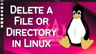 How to Delete a File or Directory in Linux