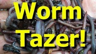 Worm Tazer! Catching tons of earthworms for bait with electricity.