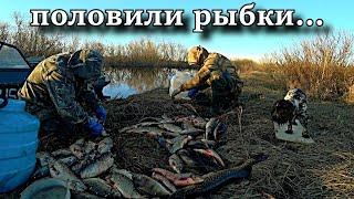 СОТНИ КИЛОГРАММ РЫБЫ!!! МЫ НЕ БРАКОНЬЕРЫ! рыбалка на крайнем севере!!! HUNDREDS OF KILOGRAMS OF FISH