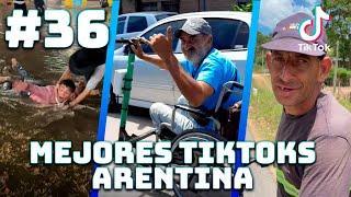 MEJORES TIKTOKS ARGENTINA #36