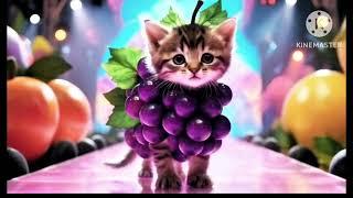 Billi Ki Awaaz Meow Meow | Cat Sounds Angry | Cats Meowing Video | बिल्ली की आवाजBilli Ki Awaaz Meow