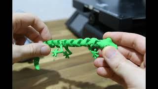 3D Printed Articulated Lizard | Timelapse