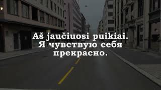 Урок 00274. Aš jaučiuosi puikiai. Я чувствую себя прекрасно.