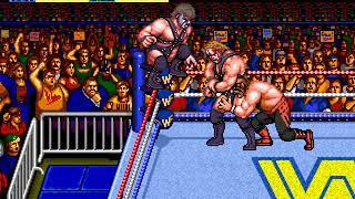 WWF Wrestlefest - Demolition, beat 10 matches in 14:00, no ring outs