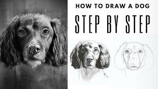 Easy Step by Step Guide for Drawing a Realistic Dog