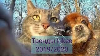 Тренды 2019/2020 Likee-Trend 2019/2020 Likee