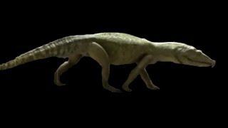 TRILOGY OF LIFE - Walking with Monsters - "proterosuchus"