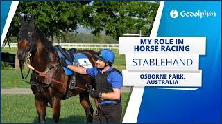 My role in horse racing | Stablehand