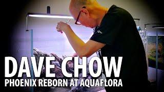 DAVE CHOW - PHOENIX REBORN (HOW TO) at AQUAFLORA