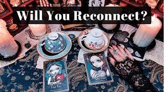 NO CONTACT: Will You Reconnect? Coffee & Tarot Pick a Card Reading