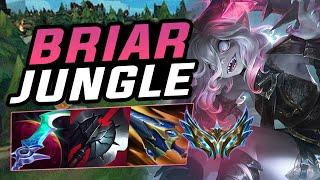 How To CARRY With Briar Jungle For Dummies | Indepth Guide Challenger