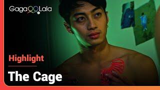 Find out why the Korean gay movie is called "The Cage" at 1:38...Boy we did not see this coming