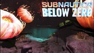 Alien Artifacts, Ships & Dig Sites Abound ~ Subnautica Below Zero #8