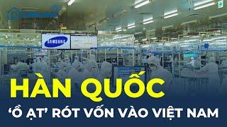 CHƯA TỪNG CÓ TIỀN LỆ: Hàn Quốc rót vốn 'Ồ ẠT' vào Việt Nam | CafeLand