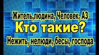 Ты в игре, уровни развития и сложности. Жизнь игра.