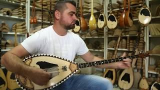 Melodi me Sharki, Himzi Zekaj LIVE    (Playing Albanian Sharki)