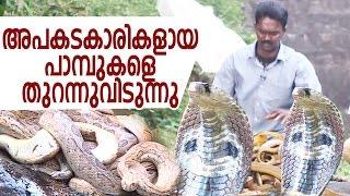 Wow ! Vava Suresh Releasing Dangerous Snakes | Snake Master